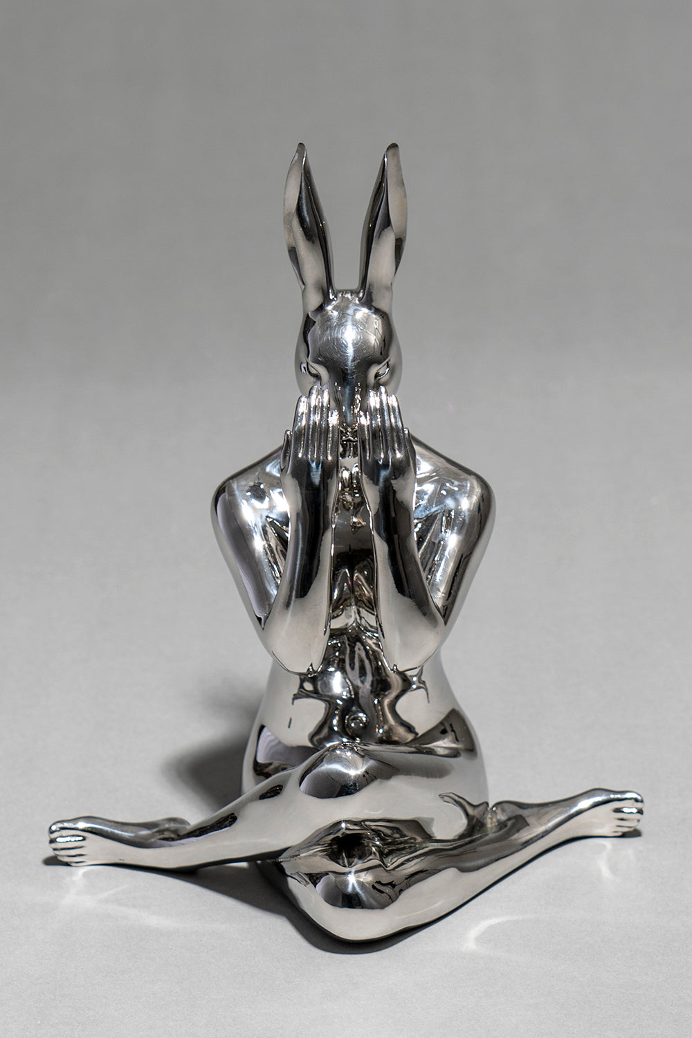 Rabbit
