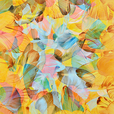 Shuai Ying