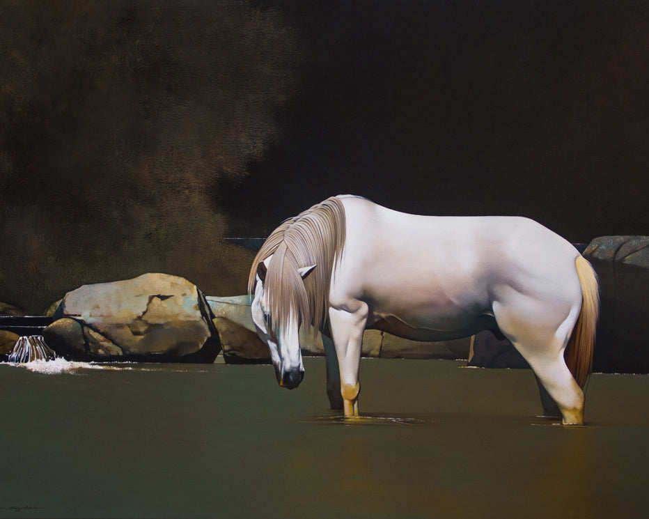Horse No.5